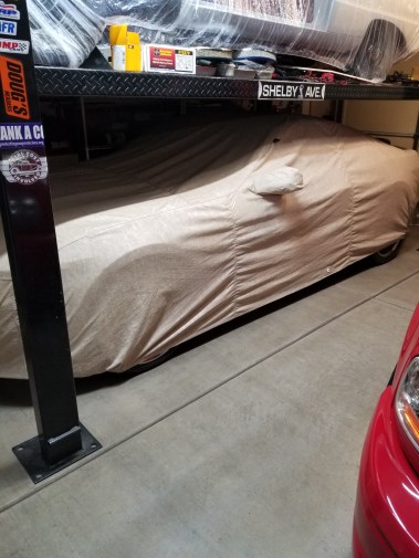 2015 hibernating.jpg